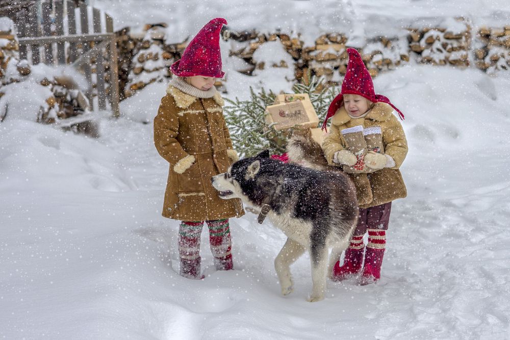 Подарки для хаски!