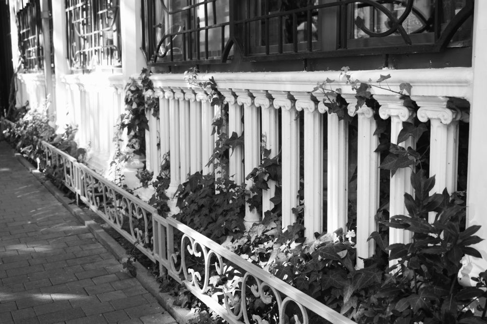 Фотография автора Юлия Фёдорова