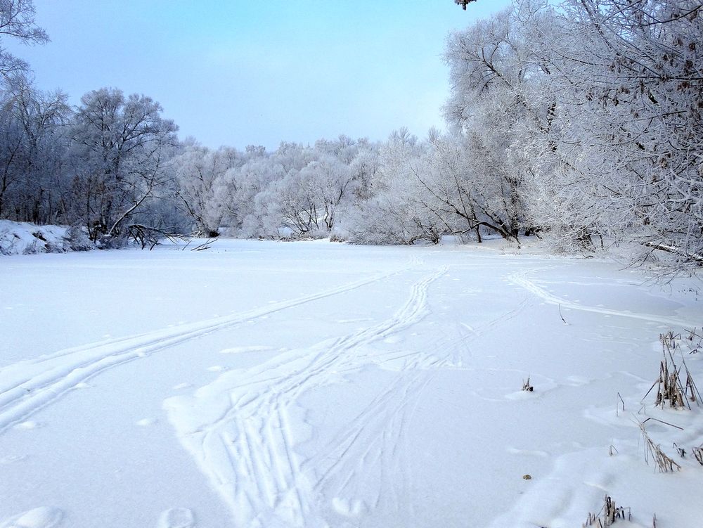 Photograph by Александр Бойченко
