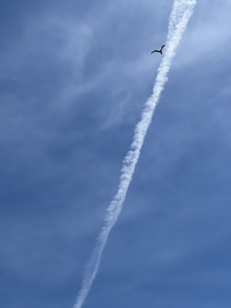 Photograph by Elena Perova