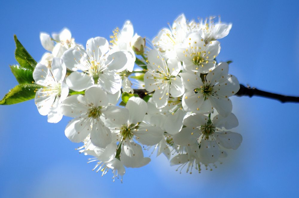 Photograph by Дмитрий Жуков