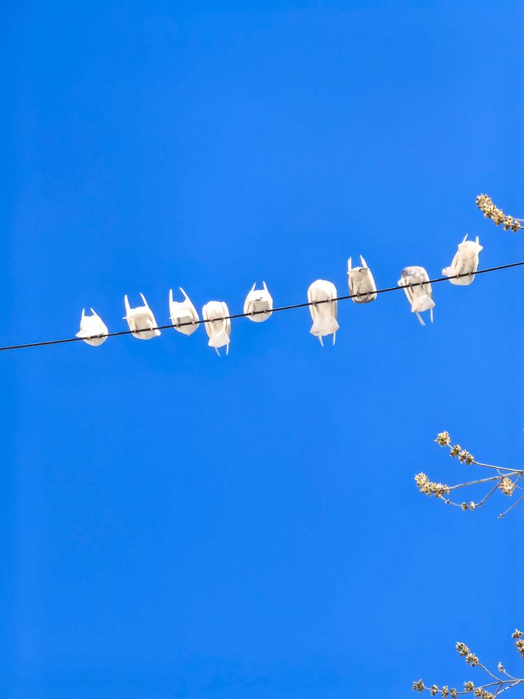 Photograph by Ксения Прохорова