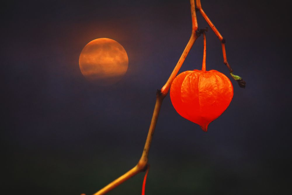 Photograph by Николай Протасеня