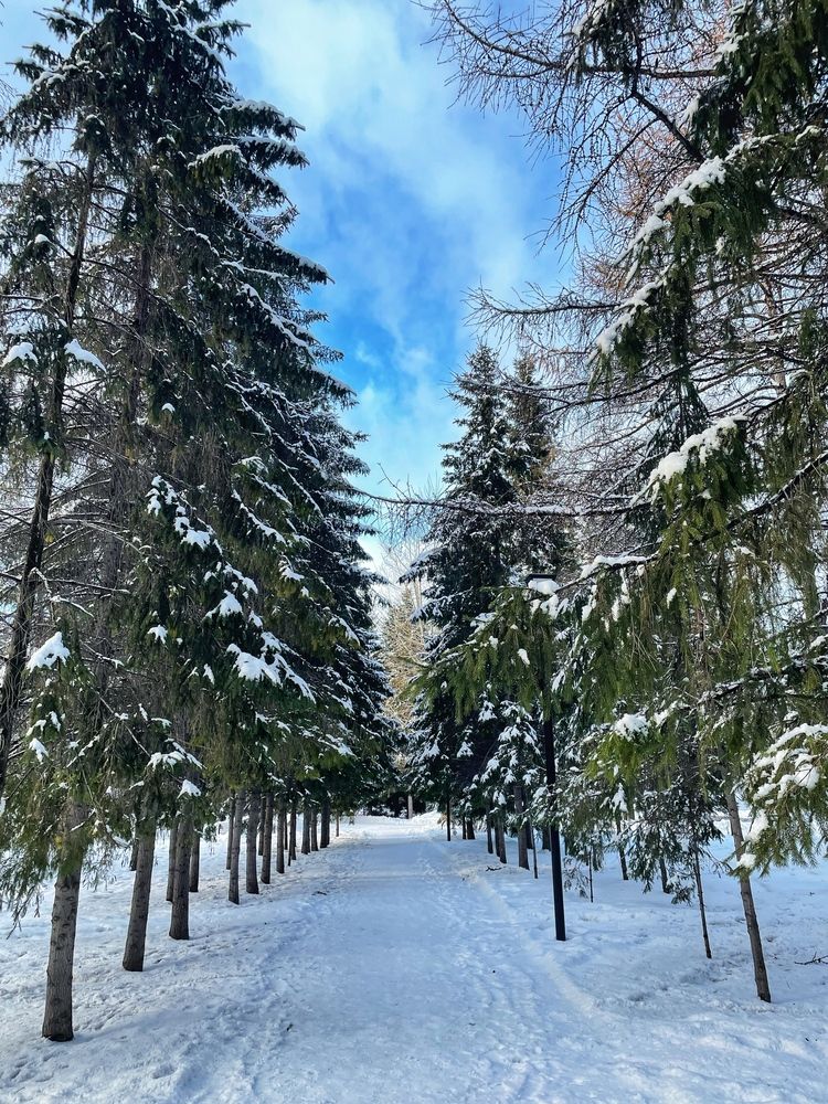 Фотография автора Nadezhda