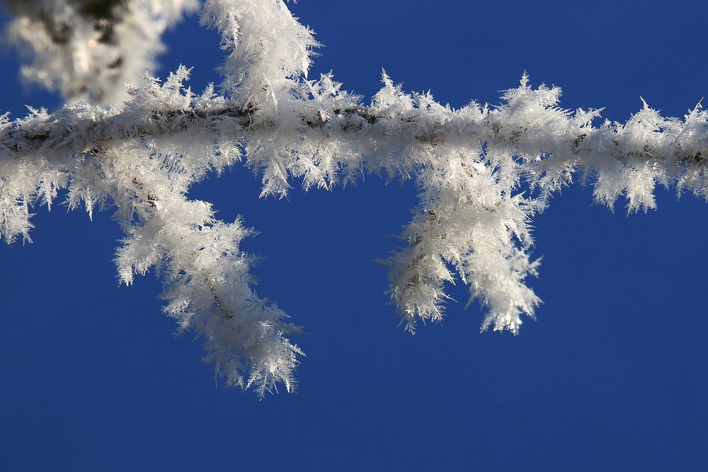 Photograph by Николай Протасеня