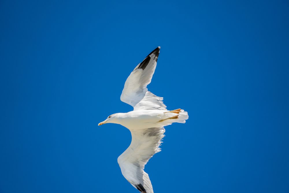 Фотография автора Владимир Хакимов