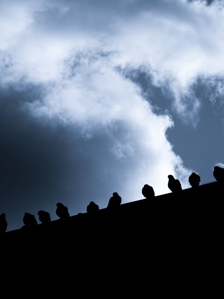 Фотография автора Степан