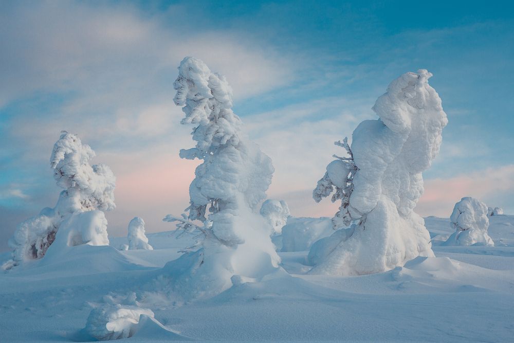 Фотография автора Алексей Новиков