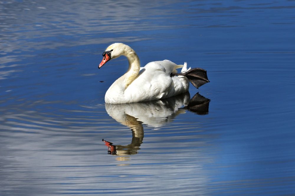 Photograph by Анна Зорька