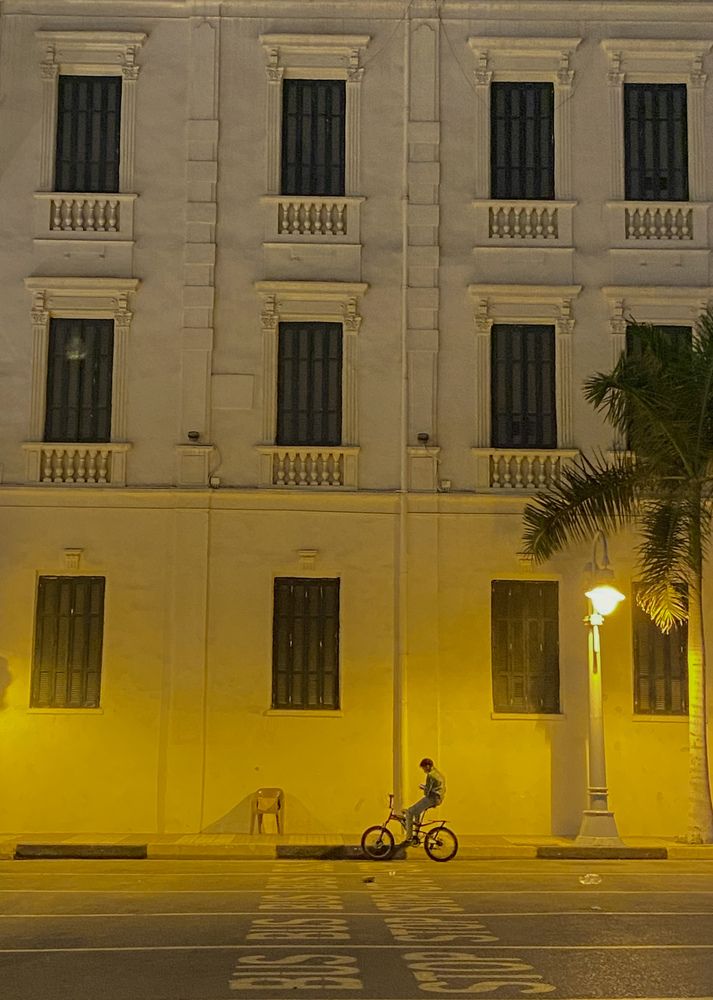 Фотография автора Mennatullah Dakhly