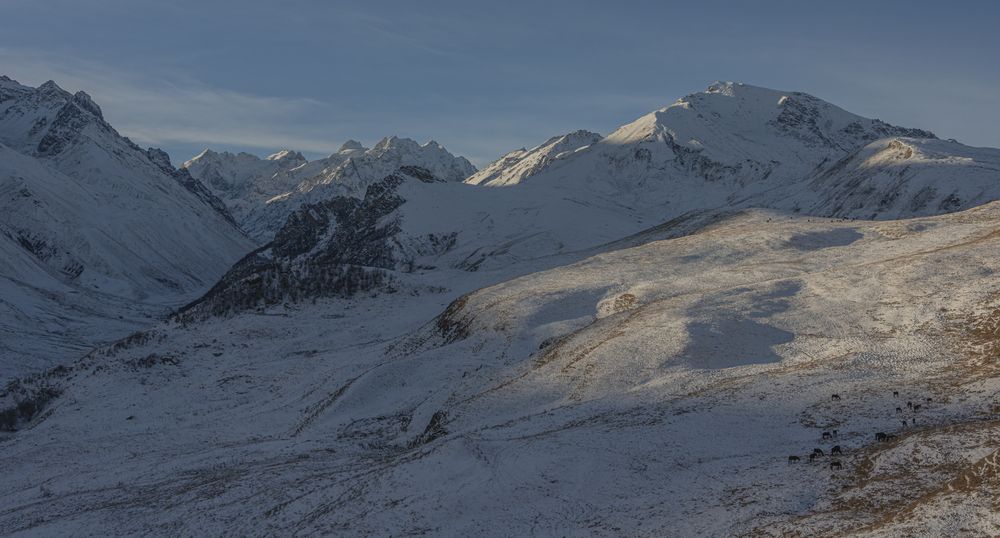 Photograph by Чухров Дмитрий