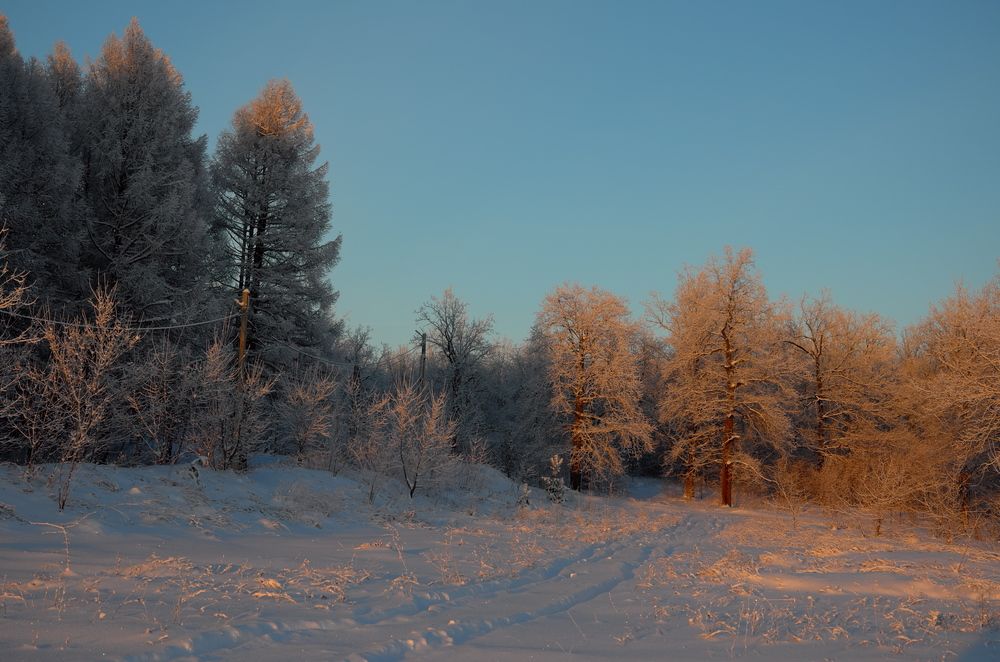 Photograph by Александр Кизим