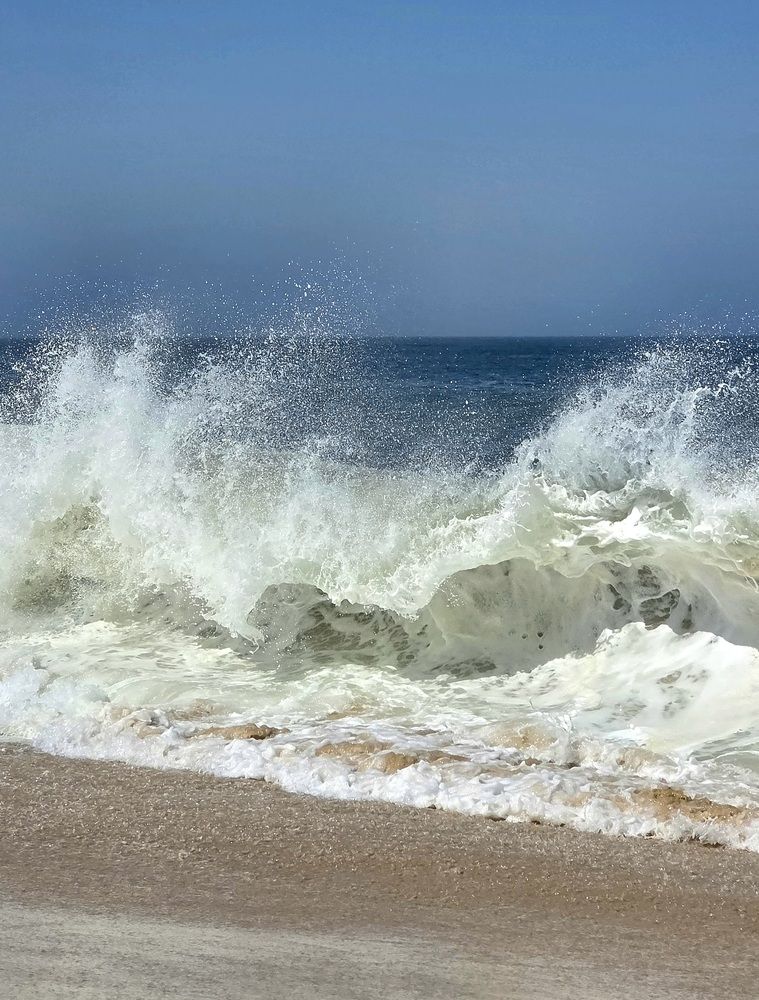 Фотография автора Elena Polonetskaya