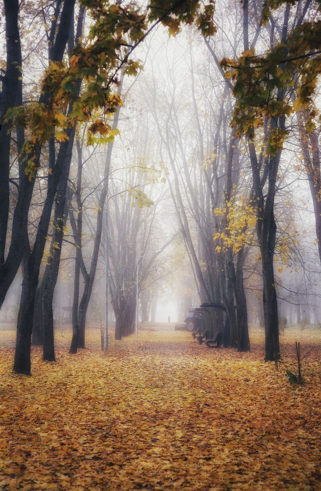 Photograph by Евгений Белов