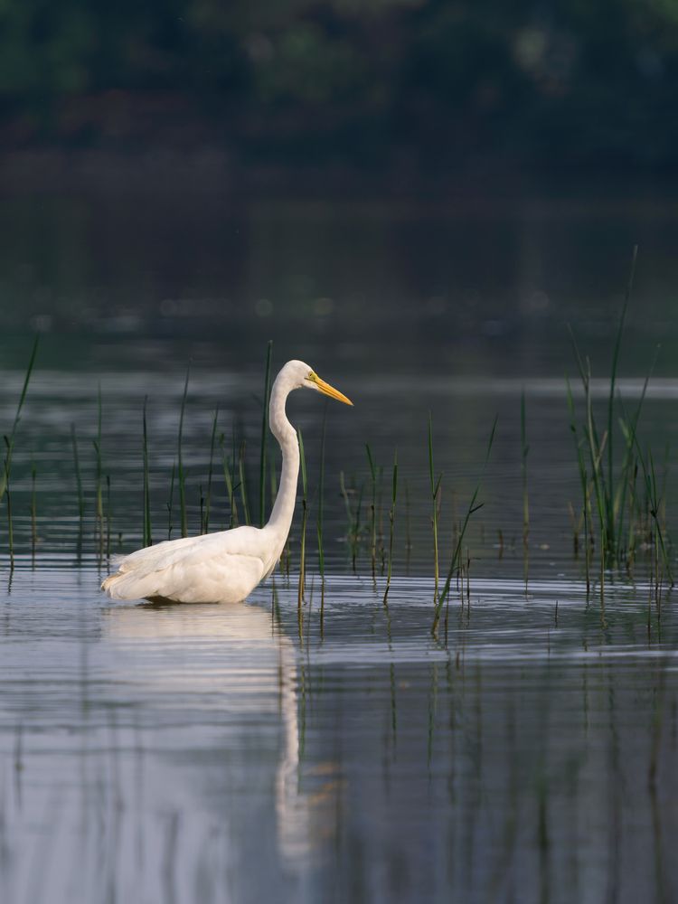 Photograph by Мозжухин Максим
