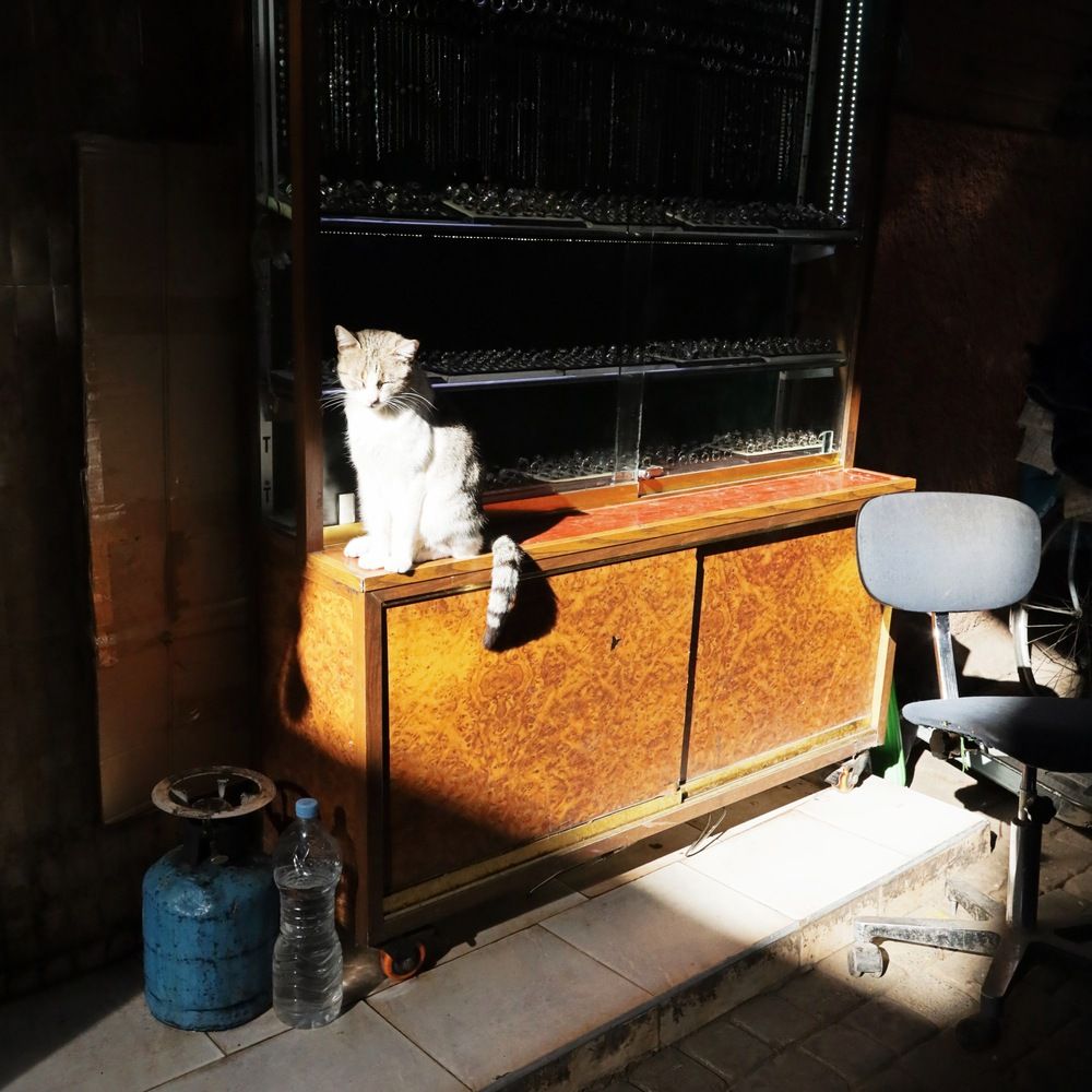 Photograph by Дим Барзыкин