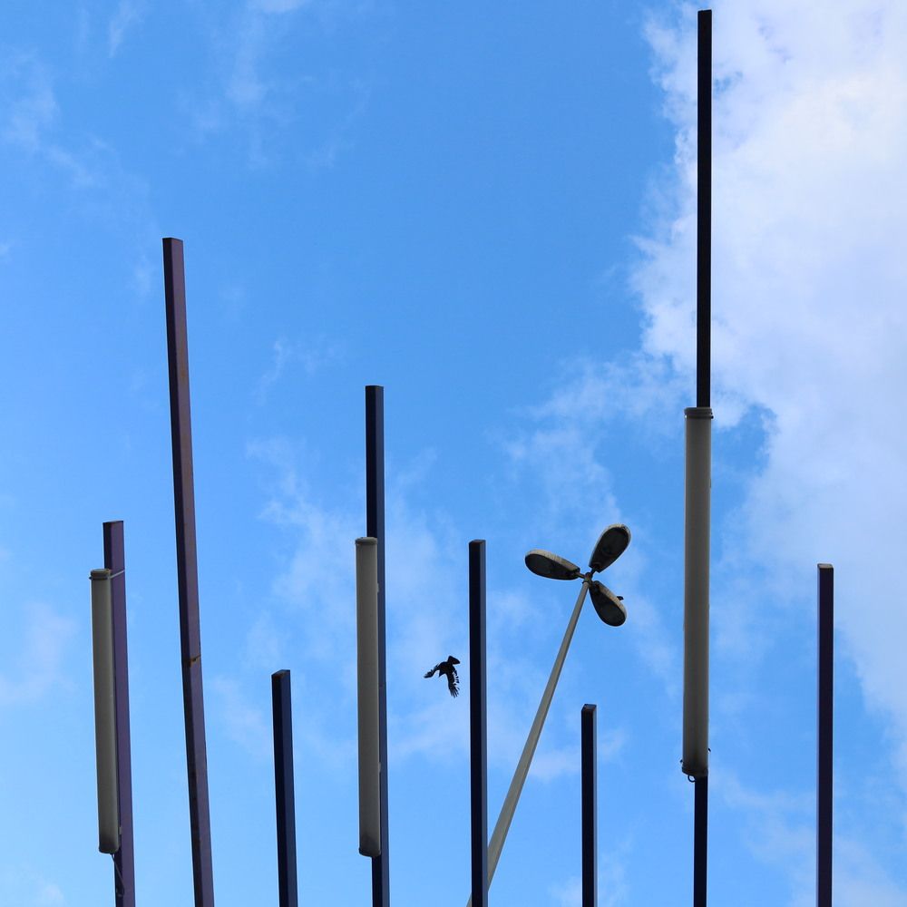 Photograph by Дим Барзыкин