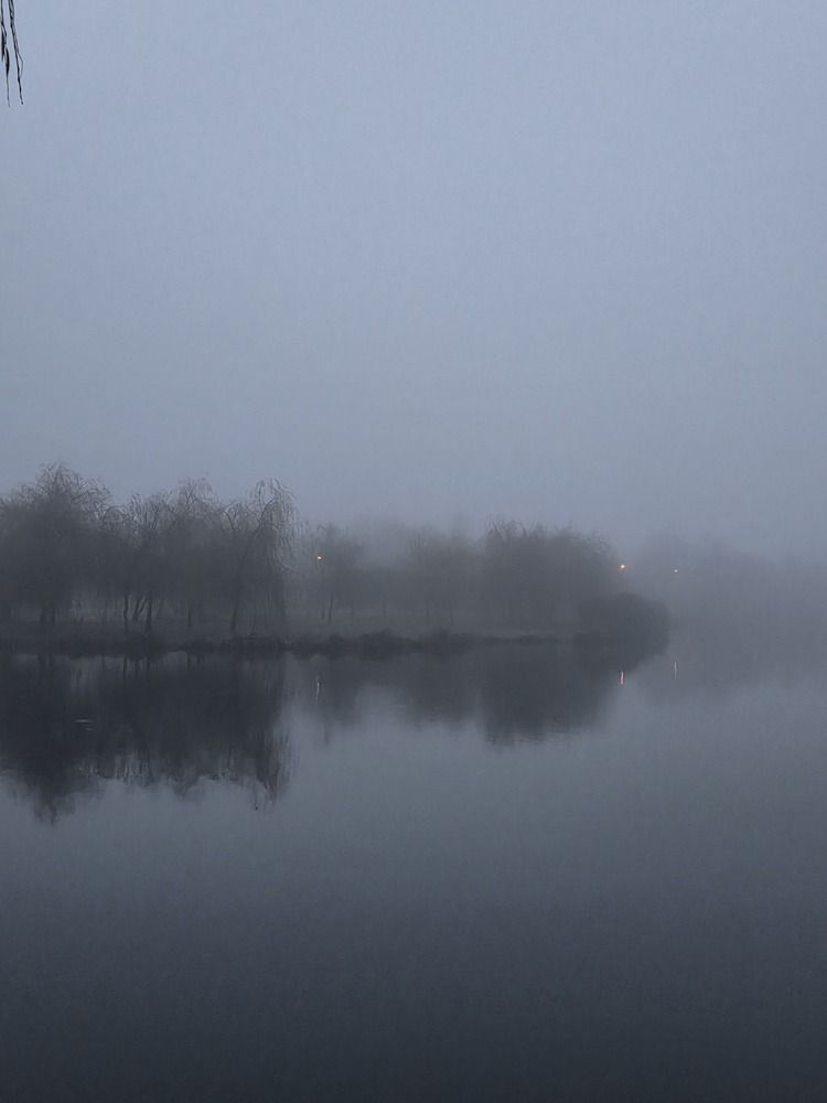 Фотография автора Elena Polonetskaya