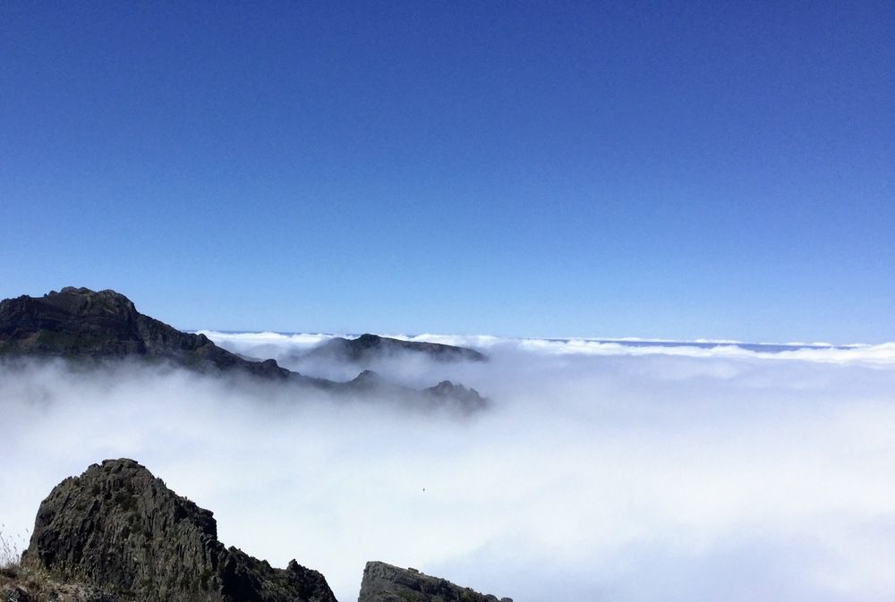 Photograph by Elena Ibragimova