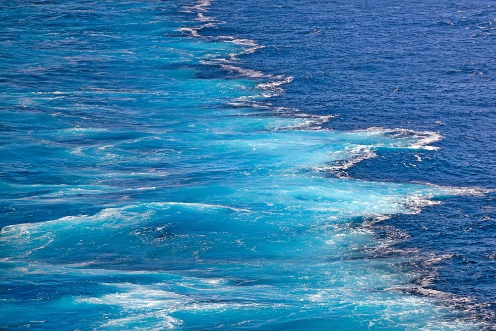 Photograph by Oleg Patrin