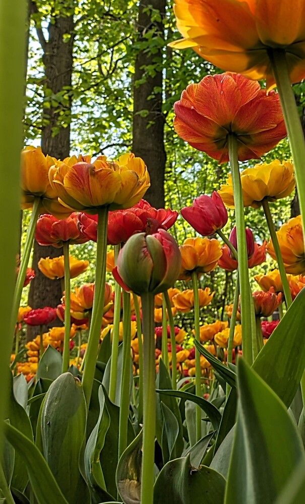 Photograph by Наталия