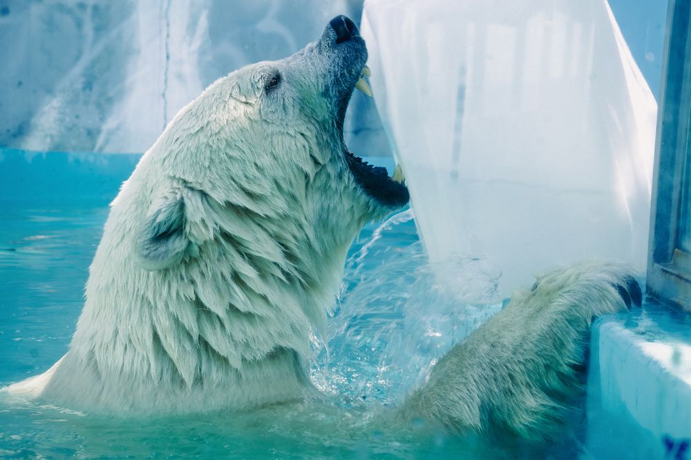 Фотография автора Владимир Хакимов