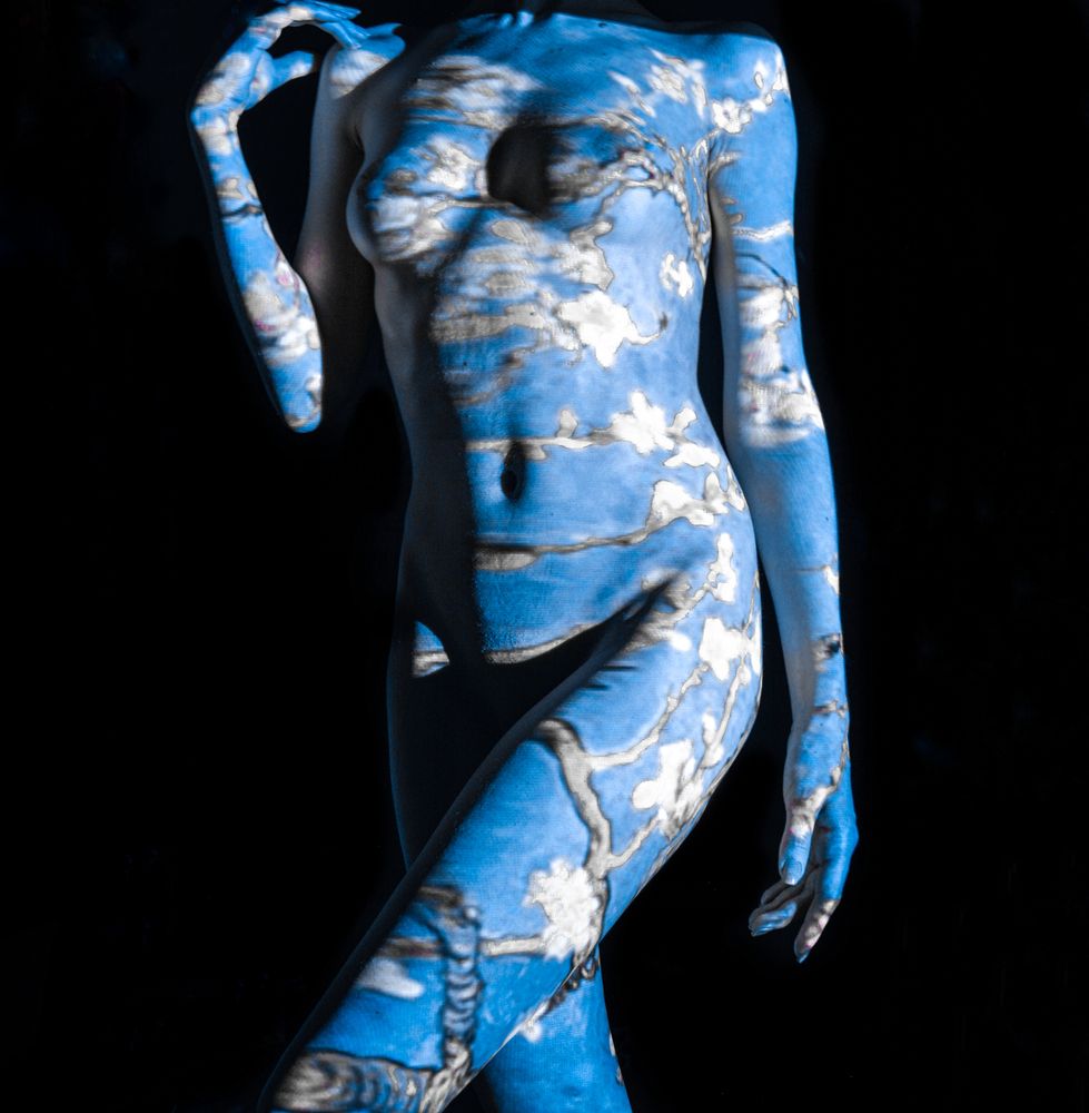 Фотография автора Дмитрий Хань