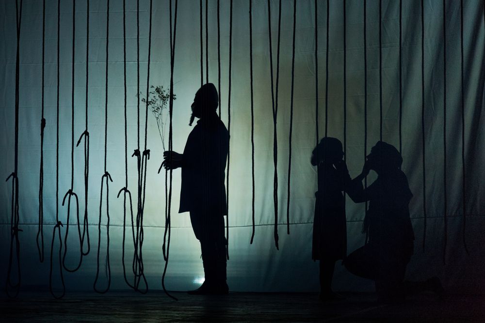 Photograph by seyed mostafa yousefi