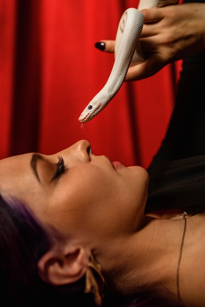 Фотография автора Natalia Sorenkova