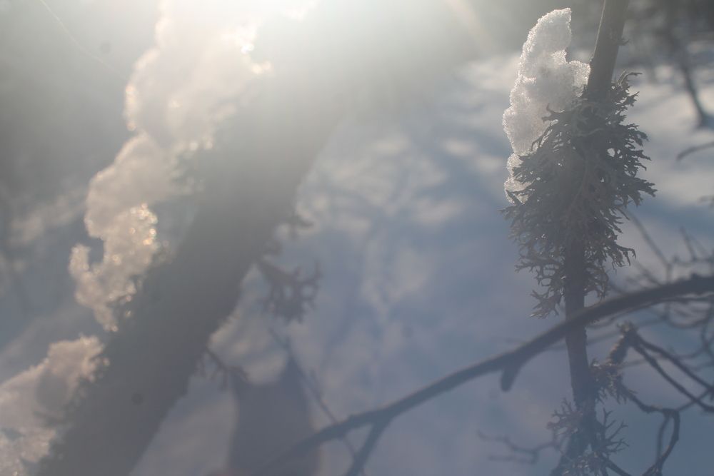 Photograph by Мария Бобылева