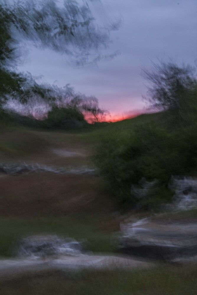 Photograph by Мария Бобылева