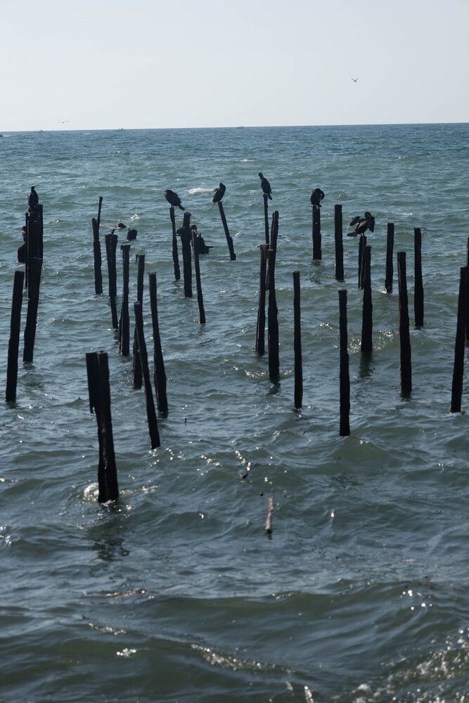 Photograph by Анна Авилочкина