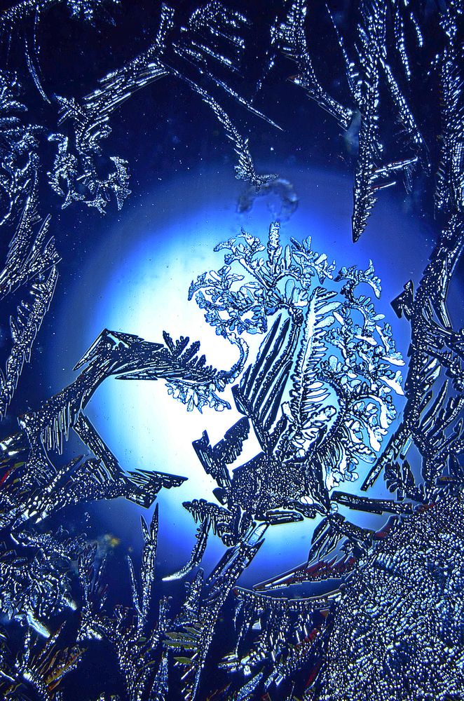 Фотография автора Владислав Алмазкин