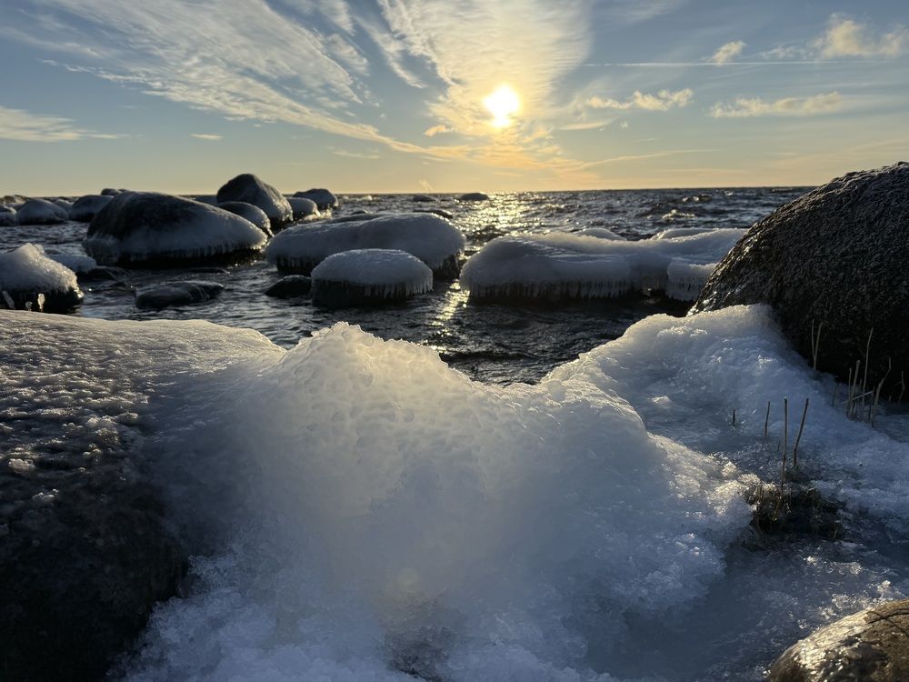 Photograph by Бондаренко Светлана
