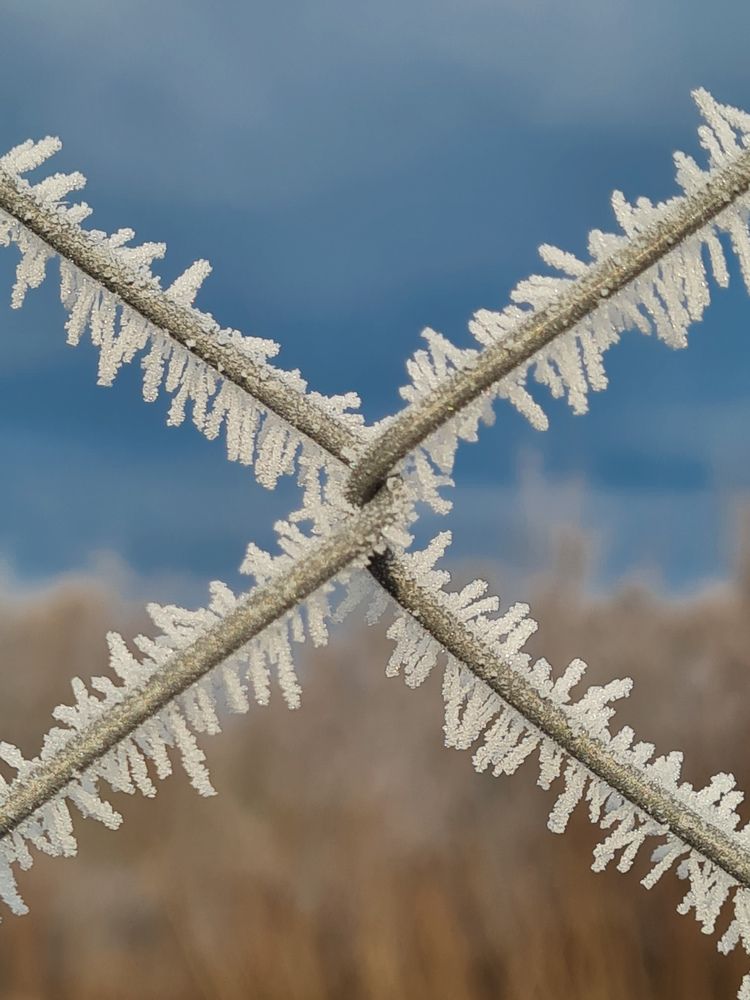 Photograph by Ирина Хлебникова