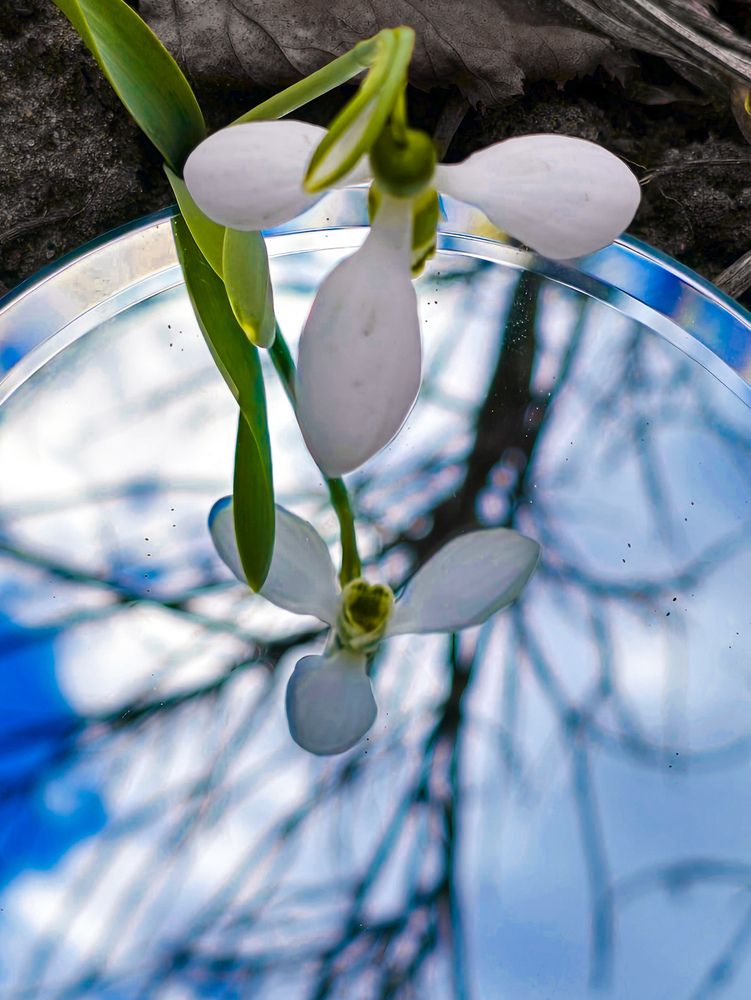 Photograph by Ирина Хлебникова