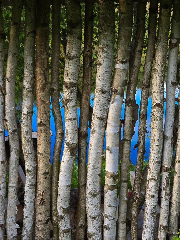 Photograph by Ирина Хлебникова