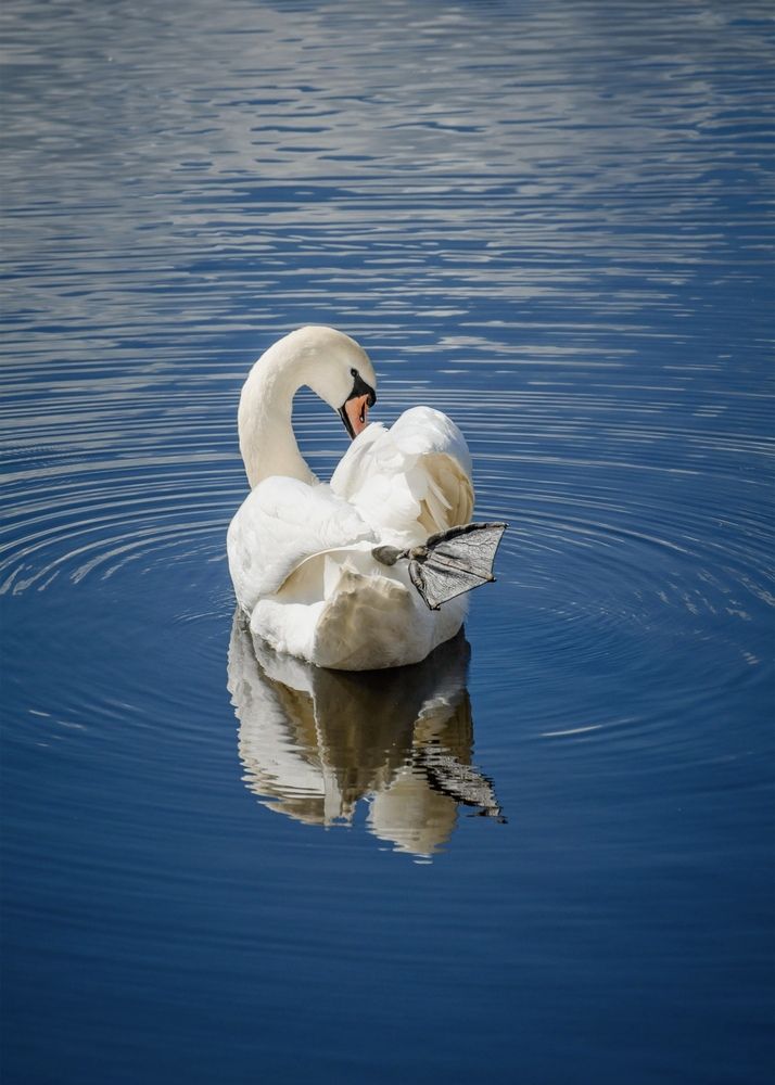 Photograph by Юлия Сидорова