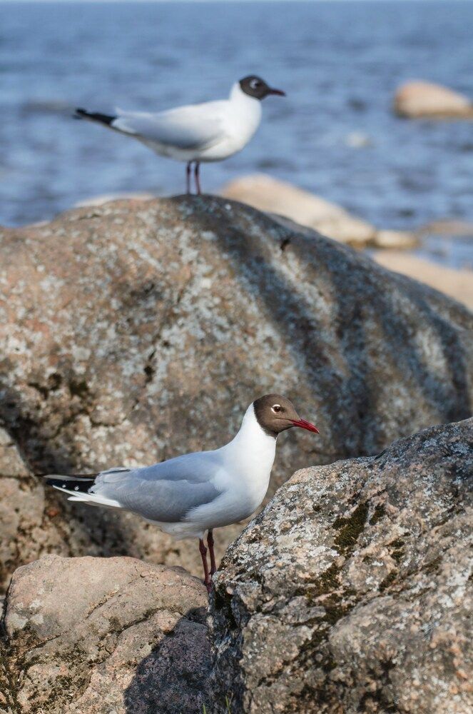 Photograph by Юлия Сидорова