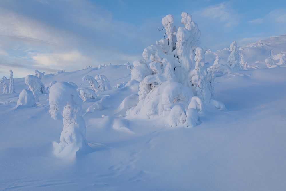 Photograph by Мария Казакова