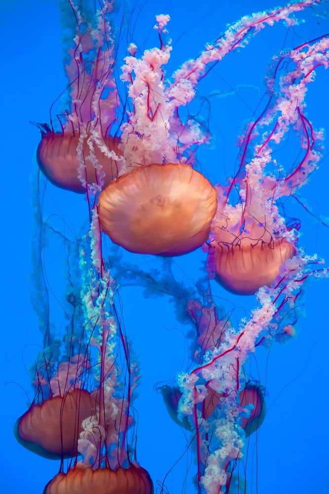 Фотография автора Denis Michelin