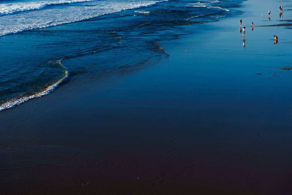 The Ocean and Us