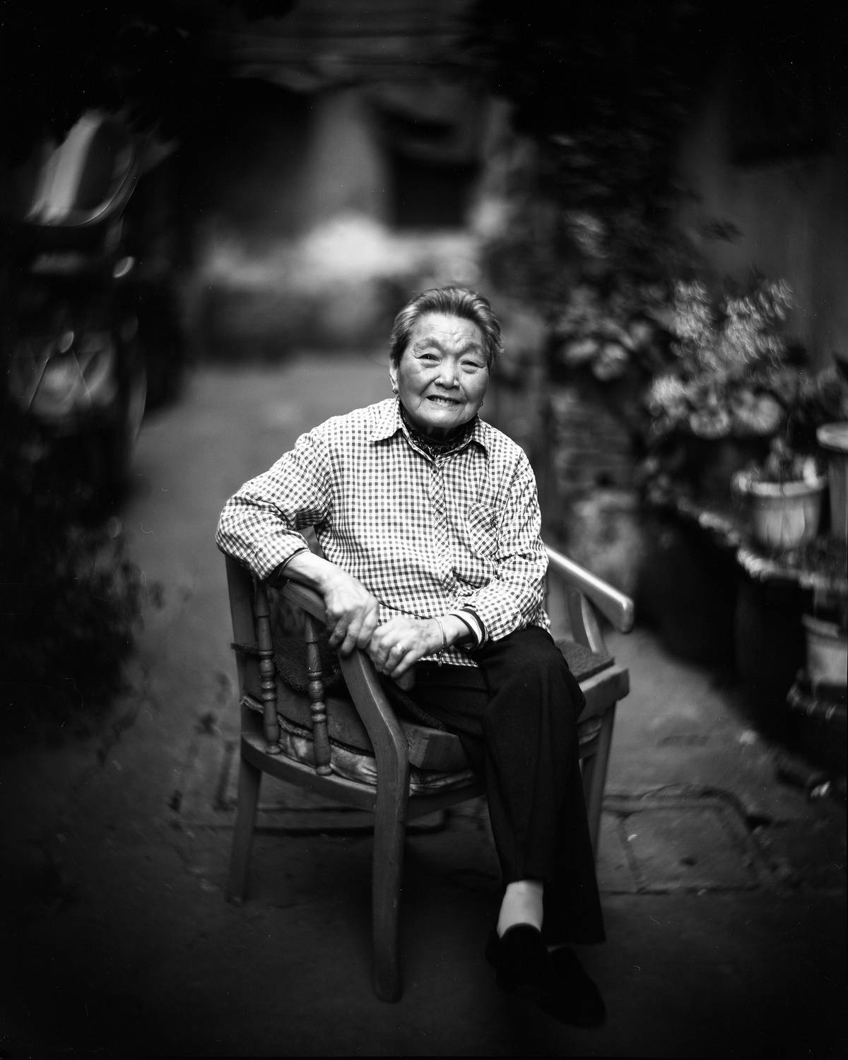 Stillness in the Courtyard Stillness in the Courtyard