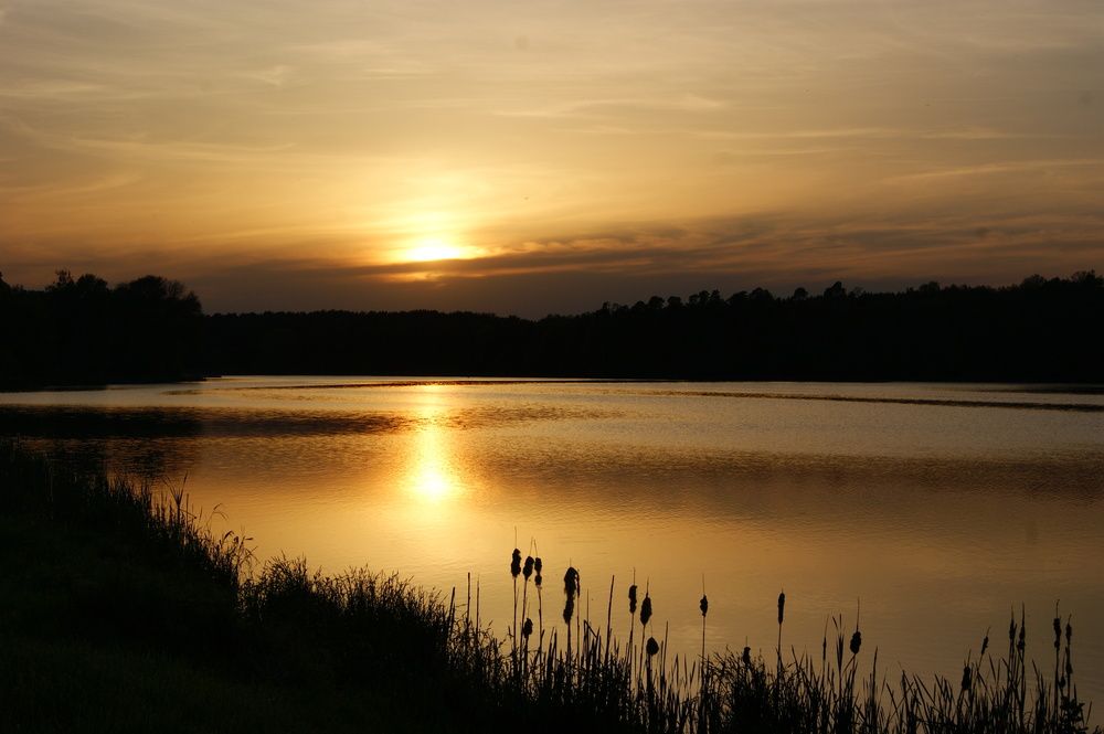 Photograph by Julia Bień