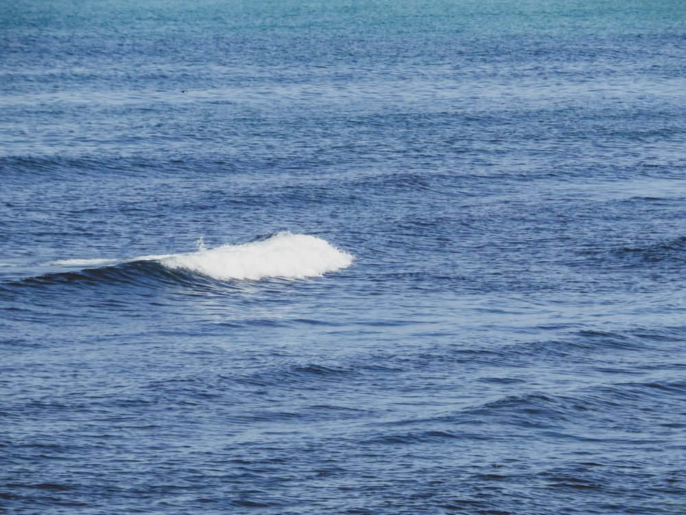 Photograph by moussaab