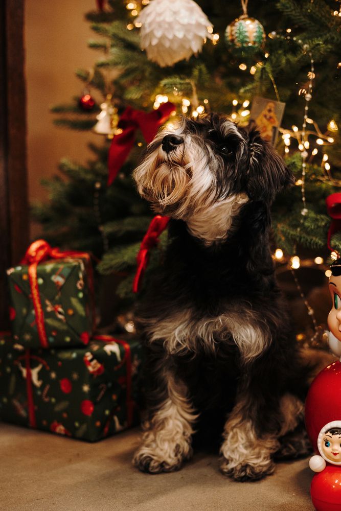 Photograph by Екатерина Воронина