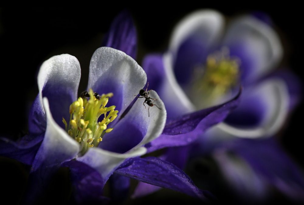 Photograph by Бибичков Михаил