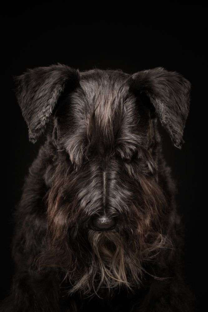 Photograph by Almasconpelo