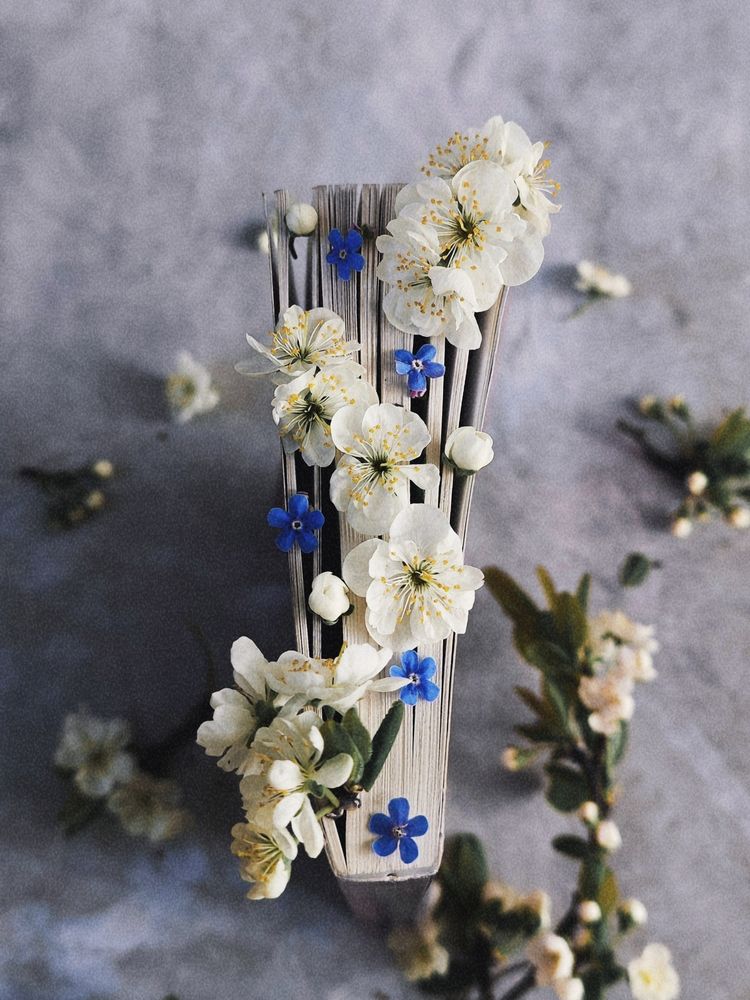 Photograph by Maria Stankevich