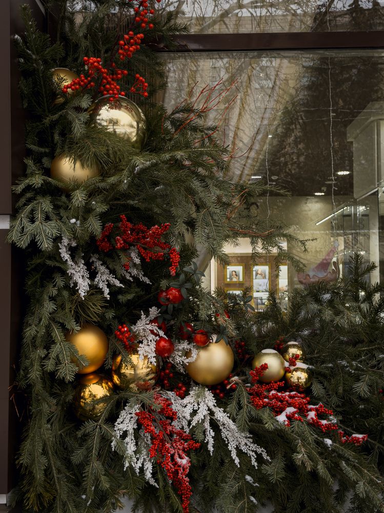 Фотография автора Анастасия Терехова